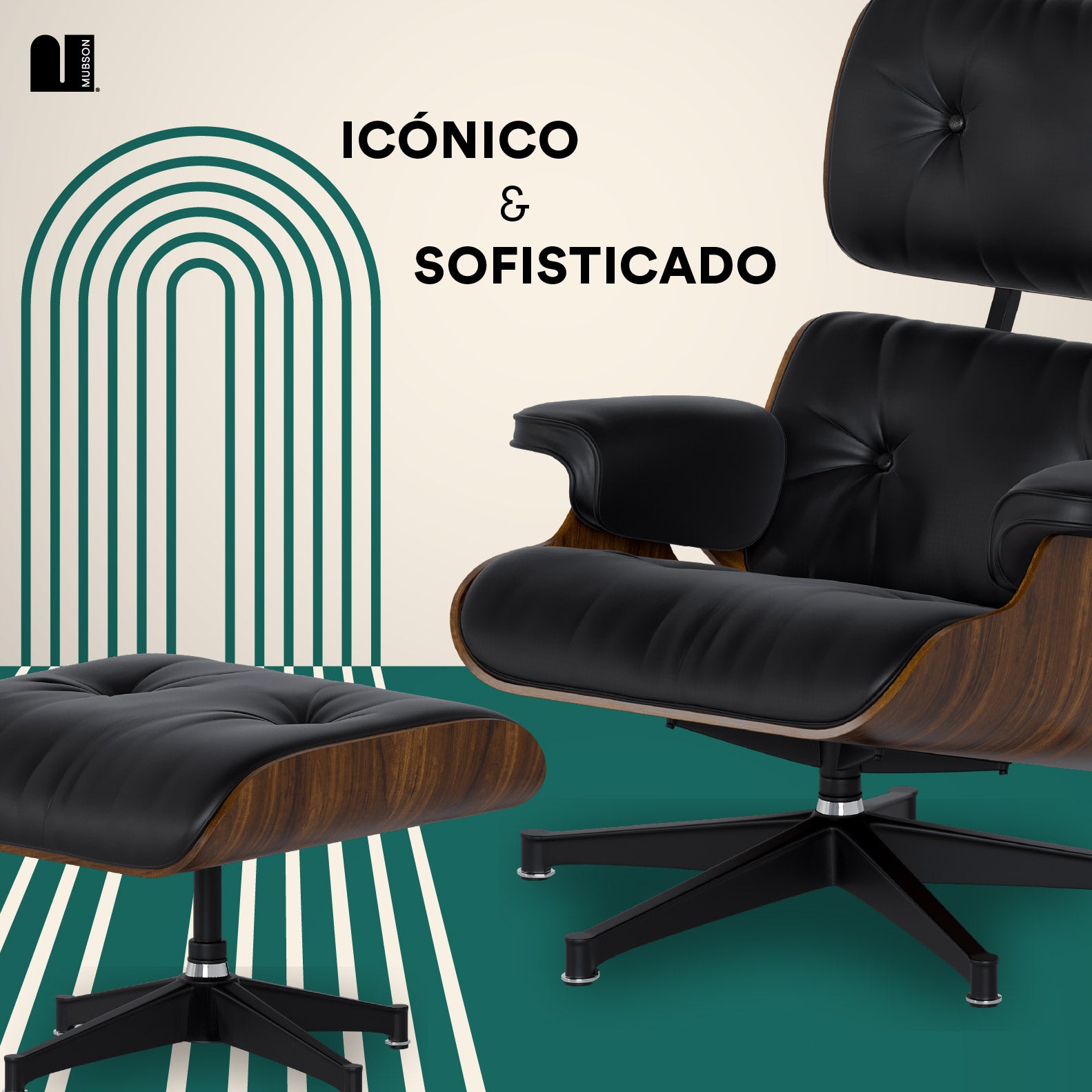 #Color_Negro