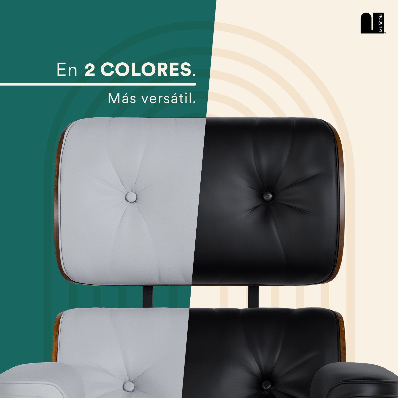 #Color_Negro