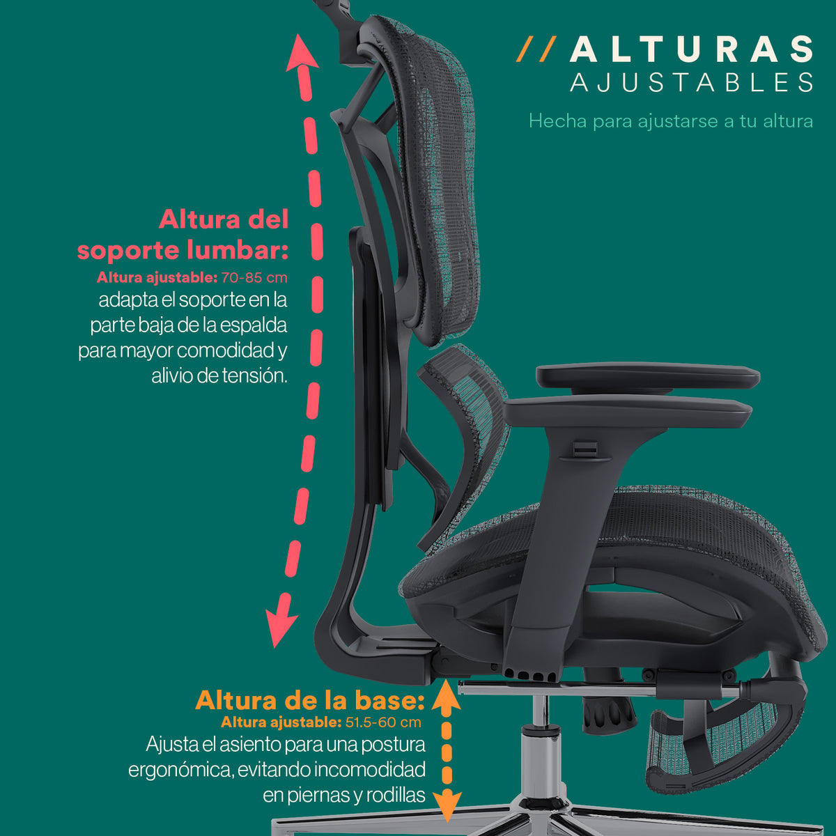 Silla de Oficina Ergonomica Premium Astra